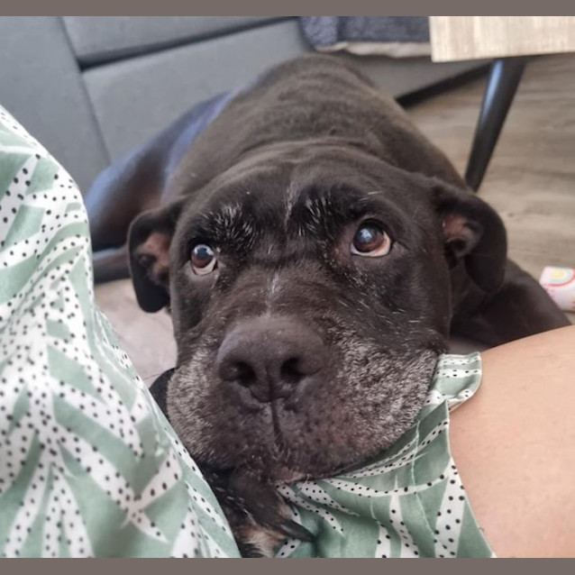 Photo of Simba And Nala