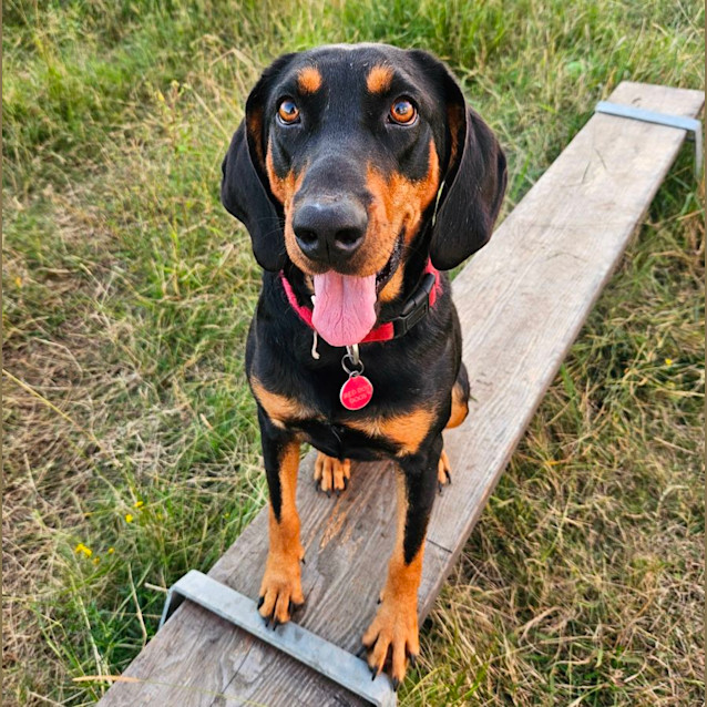 Photo of Priscilla