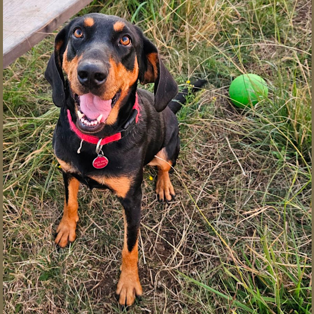 Photo of Priscilla