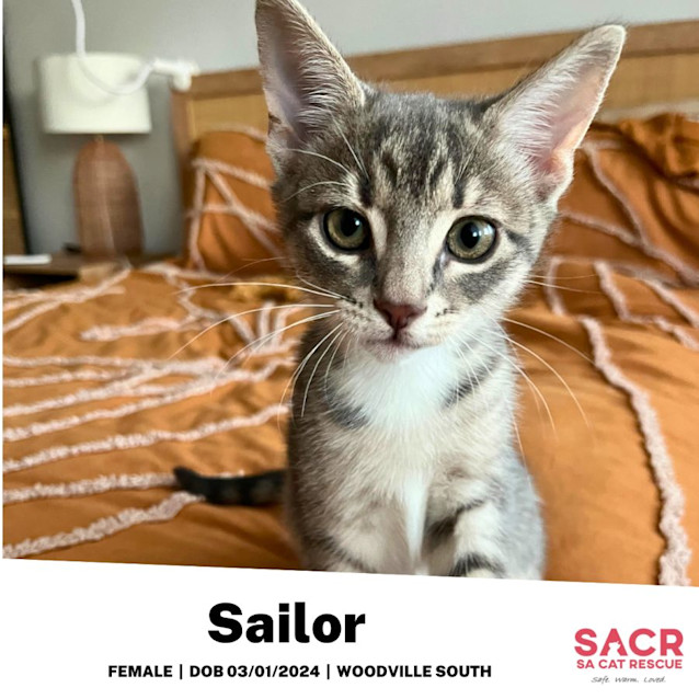 Photo of Sailor