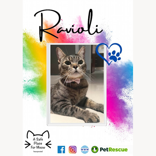 Photo of Ravioli (Ravi)