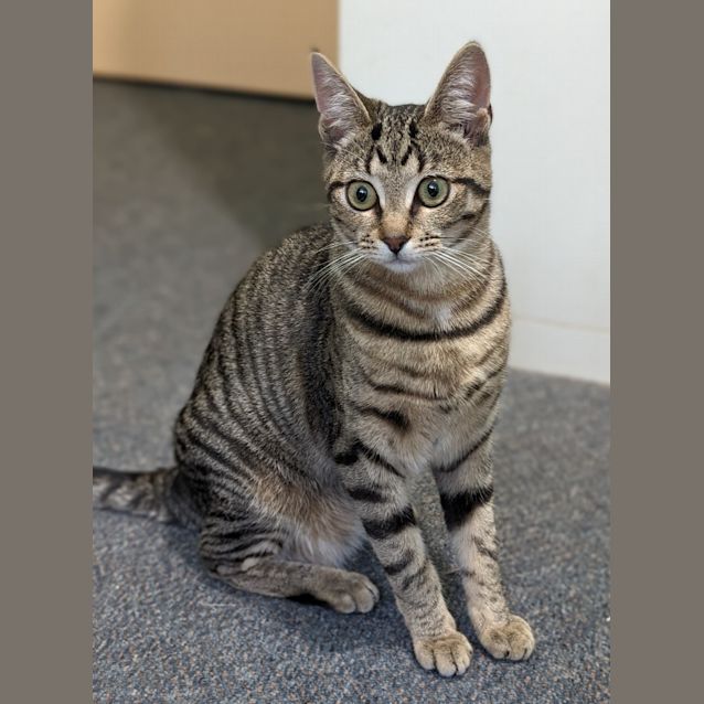 Photo of Maggie