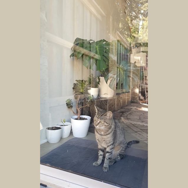 Photo of Maggie