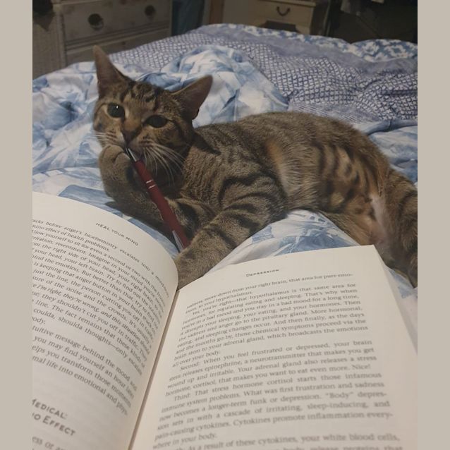 Photo of Maggie