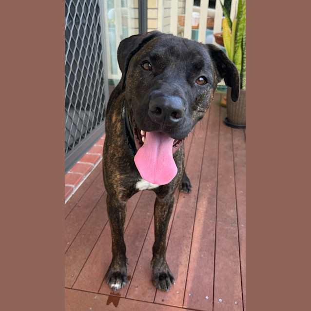 Photo of Tucker