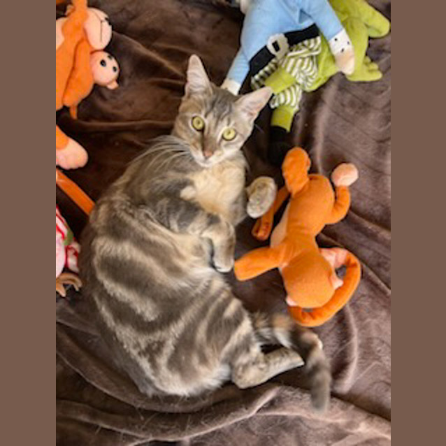 Photo of Valentino