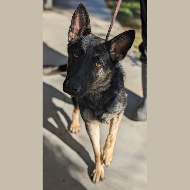 Photo of Xena
