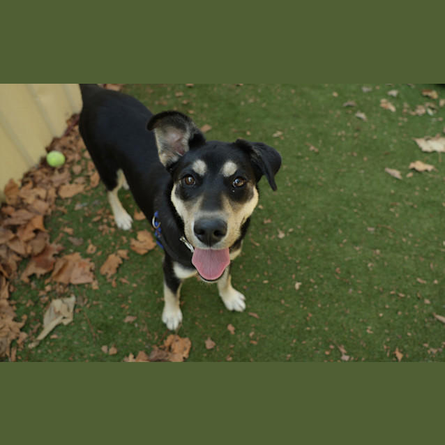 Photo of Coco