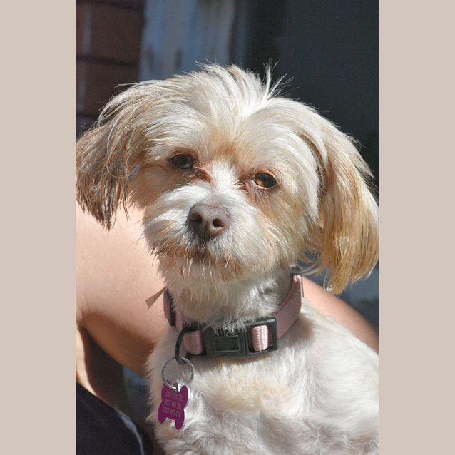 Photo of Evie