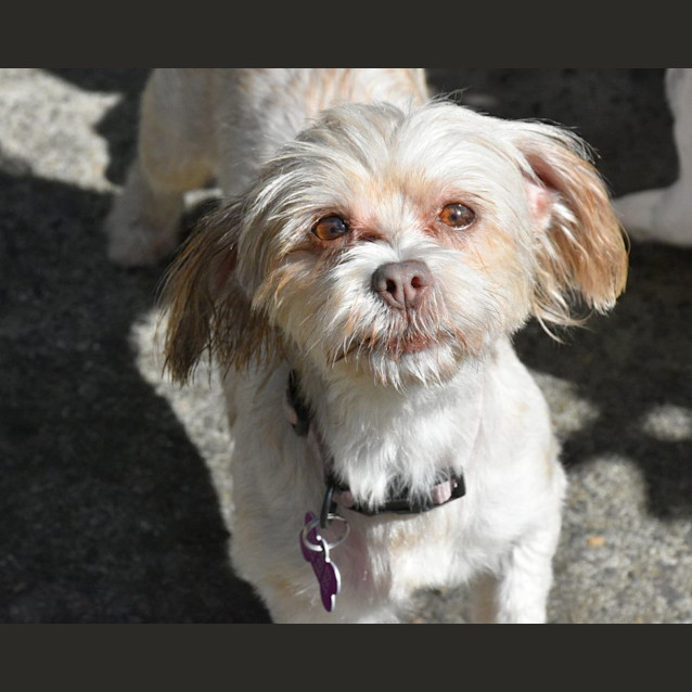 Photo of Evie