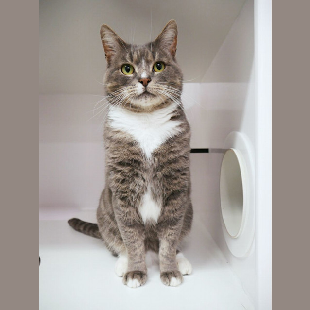 Photo of Scott Sta011987