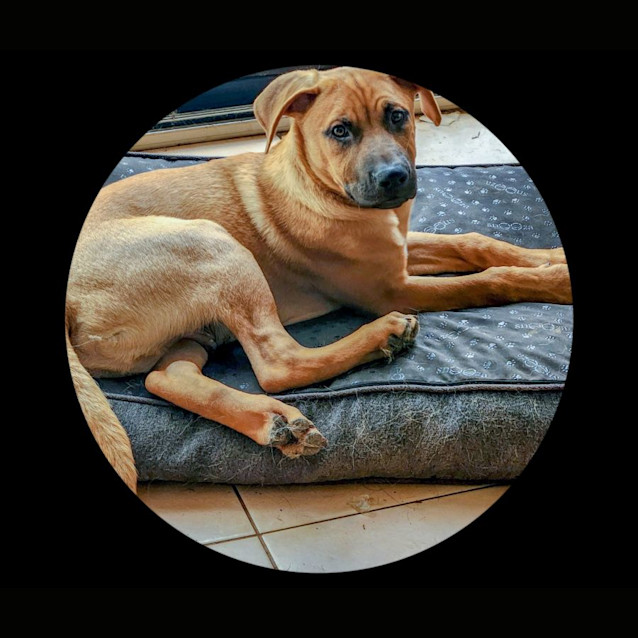 Photo of Kelly Bundy