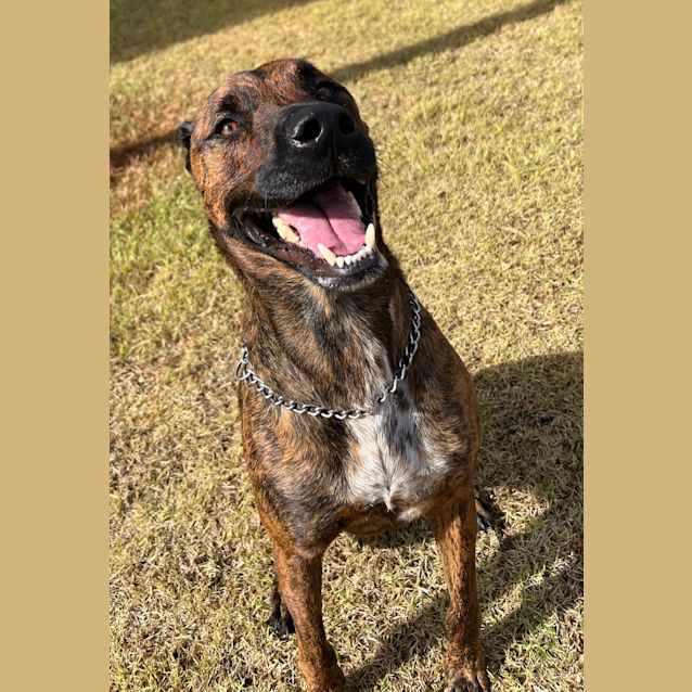 Photo of Storm