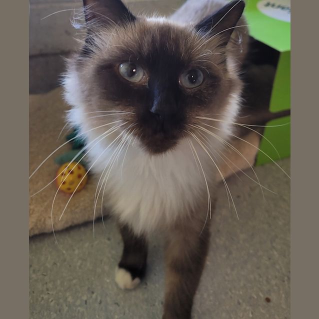 Photo of Billy