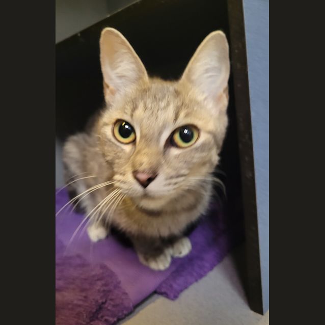 Photo of Jewel