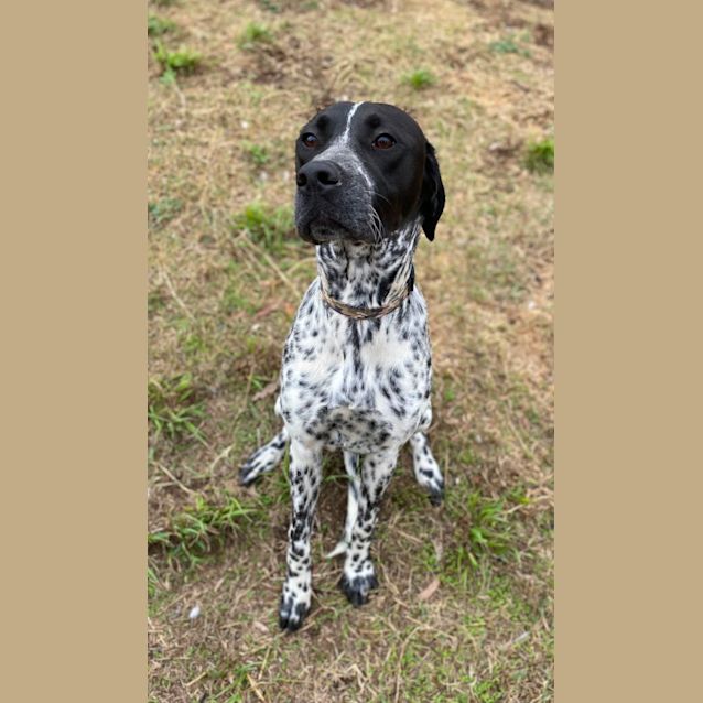 Photo of Roo