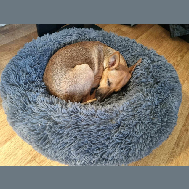 Photo of Reaper (Nyirti)