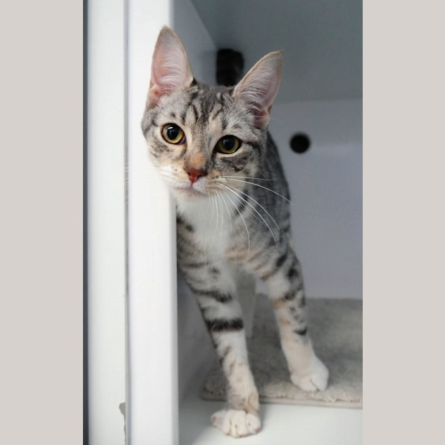 Photo of Allie Suk012566