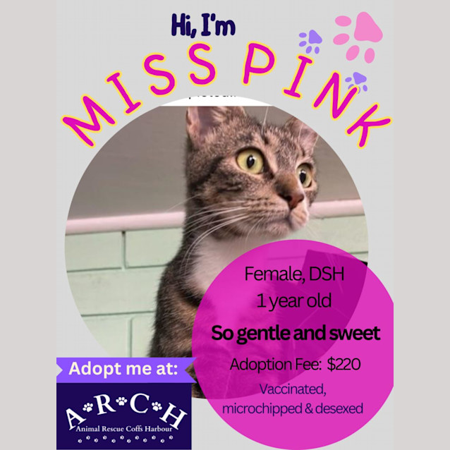 Photo of Miss Pink