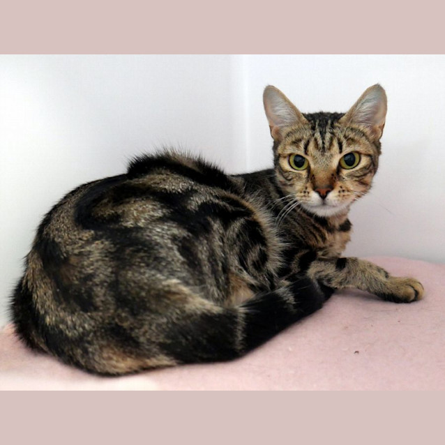 Photo of Chika Sua012575