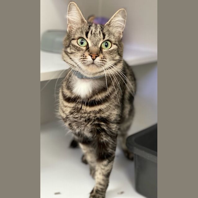 Photo of Marta (6518)