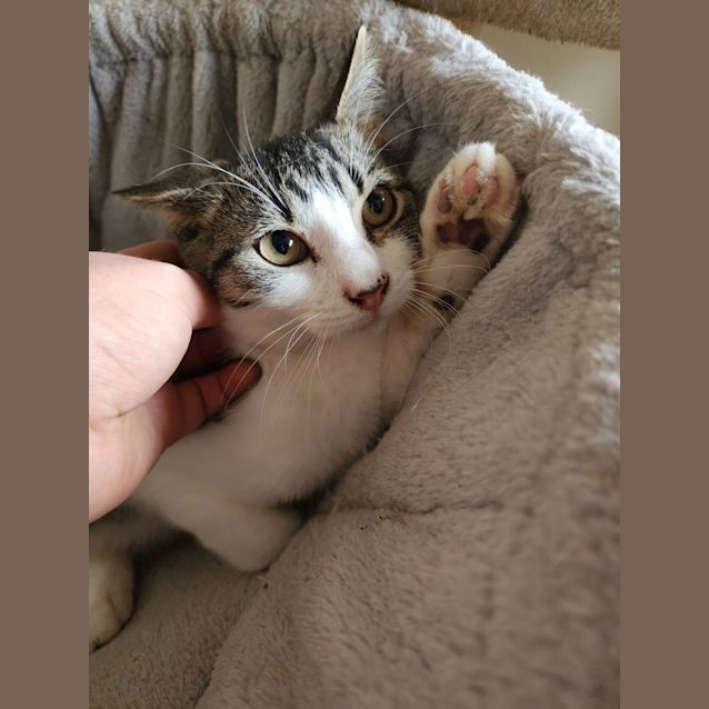 Photo of Bagel 🥯 
