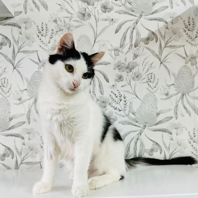 Photo of Ivy   Located In Preston