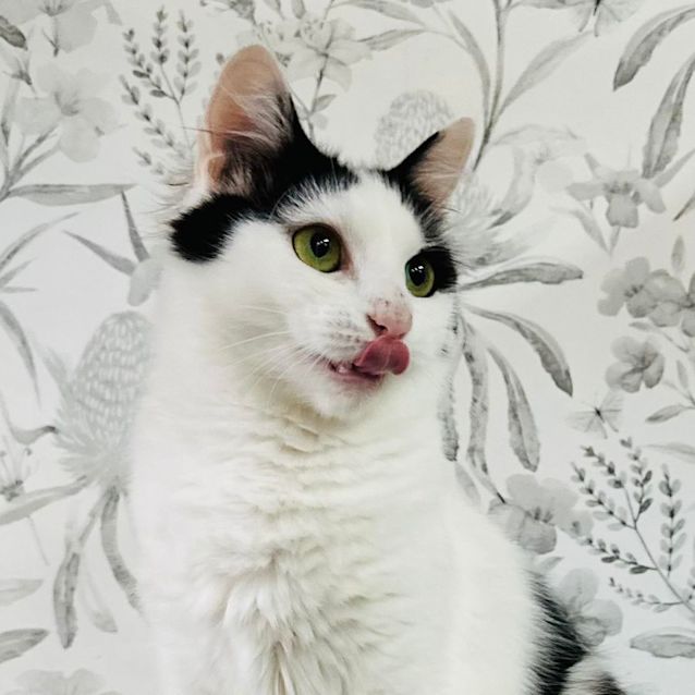 Photo of Ivy   Located In Preston