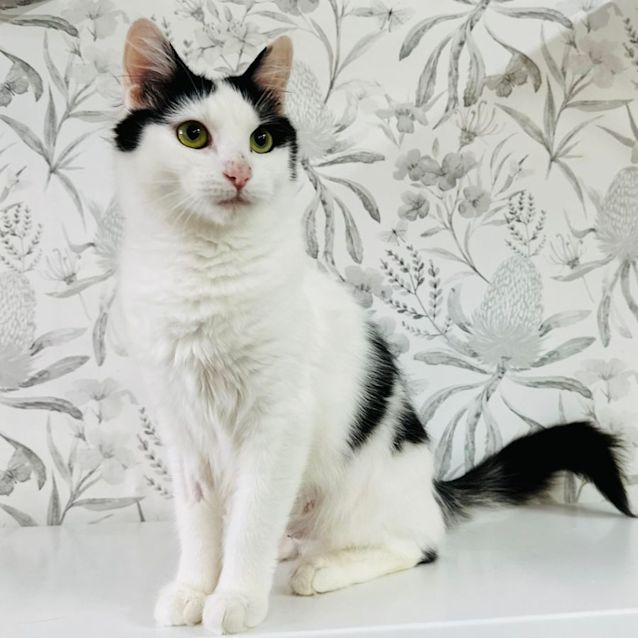 Photo of Ivy   Located In Preston