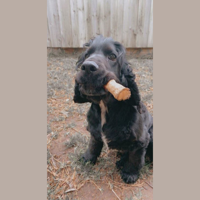 Photo of George Falko