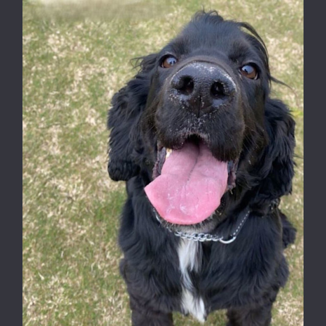 Photo of George Falko