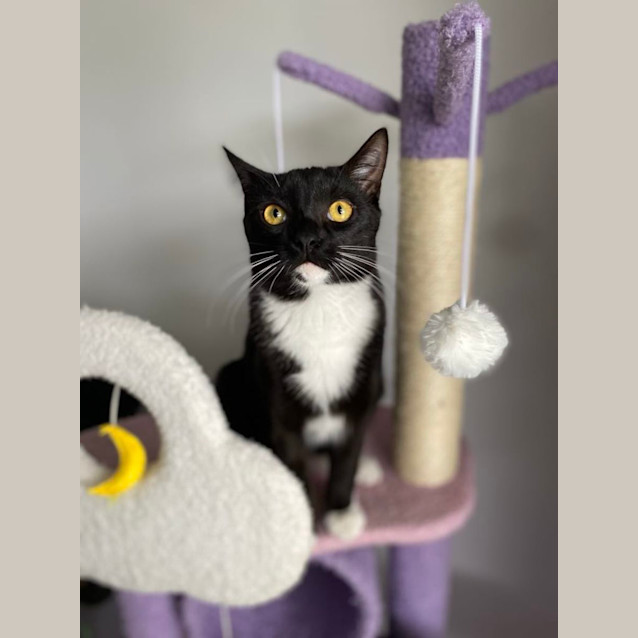 Photo of Timothy