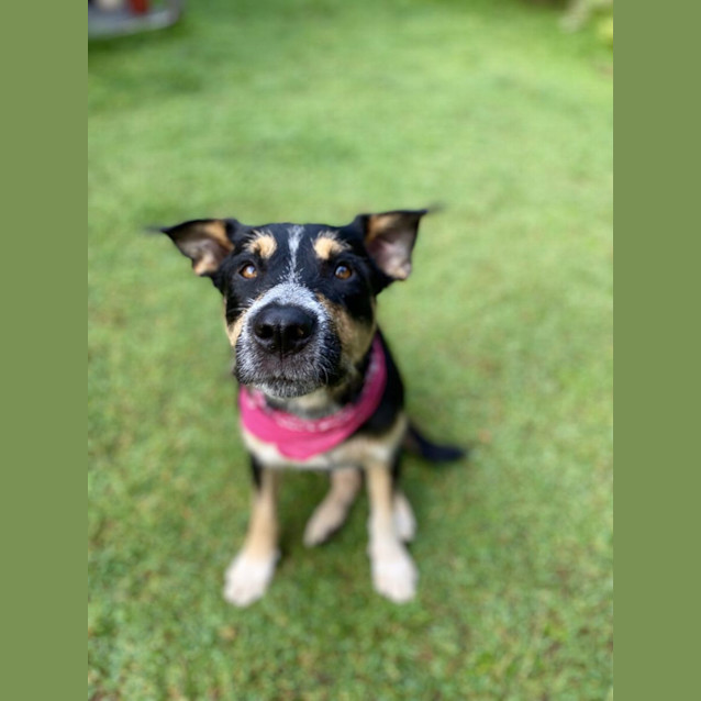 Photo of Bronx