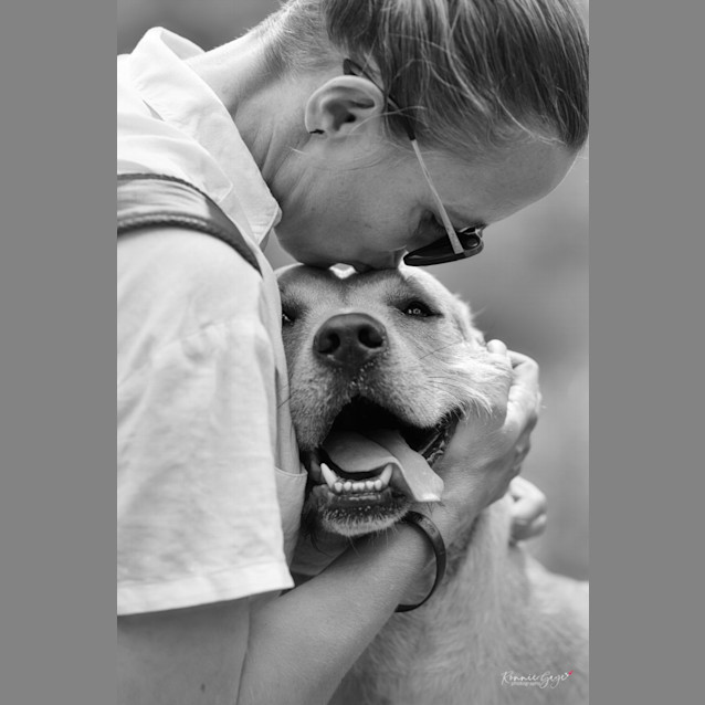 Photo of Koa *$150 Adoption Fee*