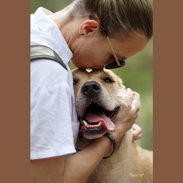 Photo of Koa *$150 Adoption Fee*