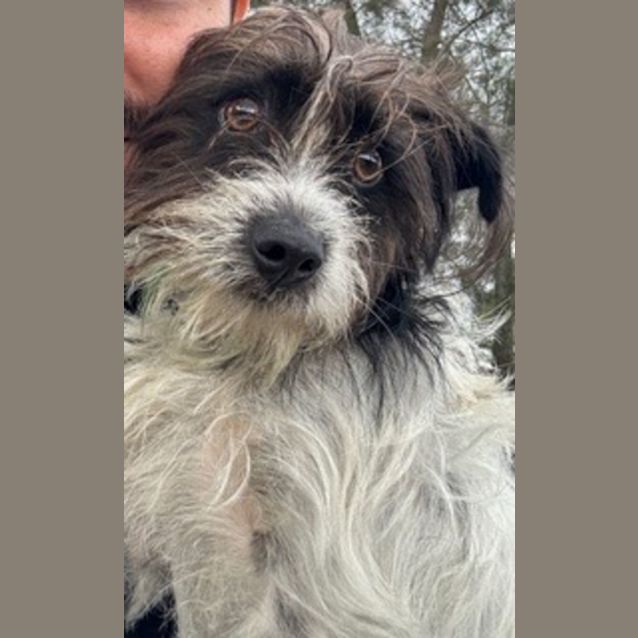 Photo of Floyd