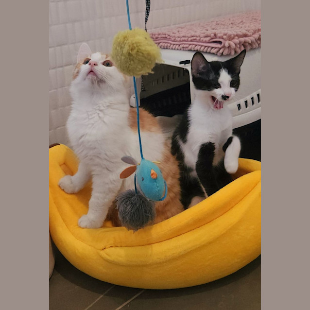 Photo of Luke Sky Pa Wker