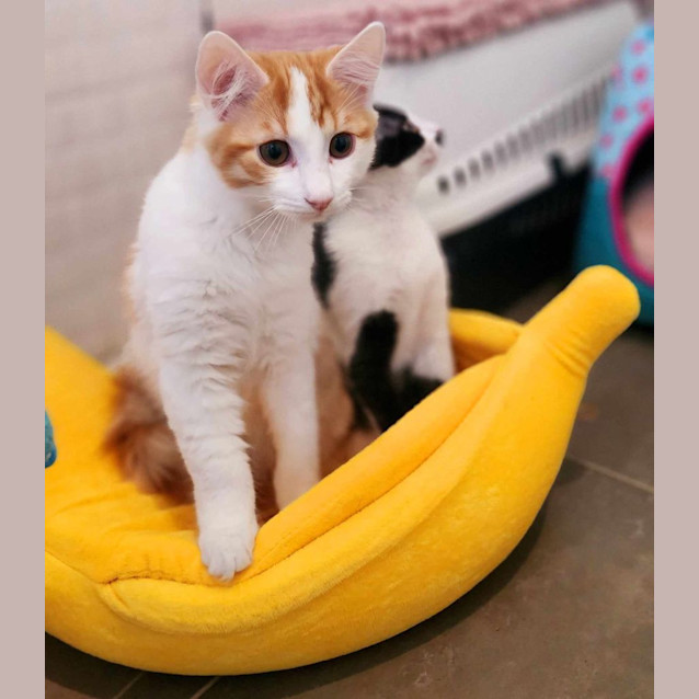 Photo of Luke Sky Pa Wker