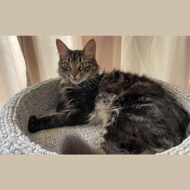 Photo of Theodore James (Teddy)