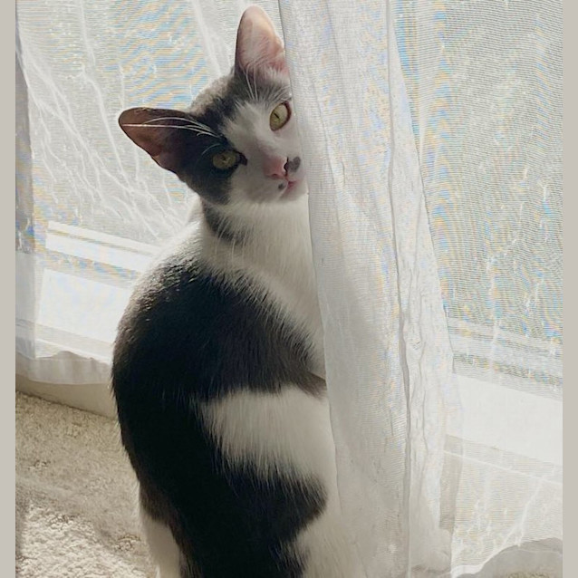 Photo of Sebbie