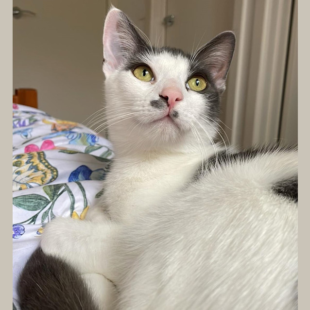 Photo of Sebbie