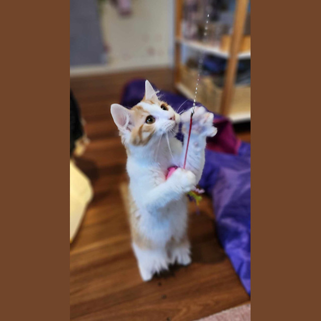 Photo of Luke Sky Pa Wker