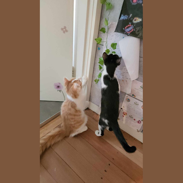 Photo of Luke Sky Pa Wker