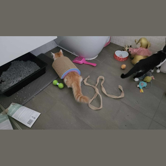 Photo of Luke Sky Pa Wker