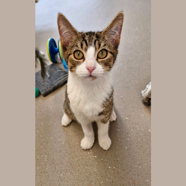 Photo of C1288 Parky