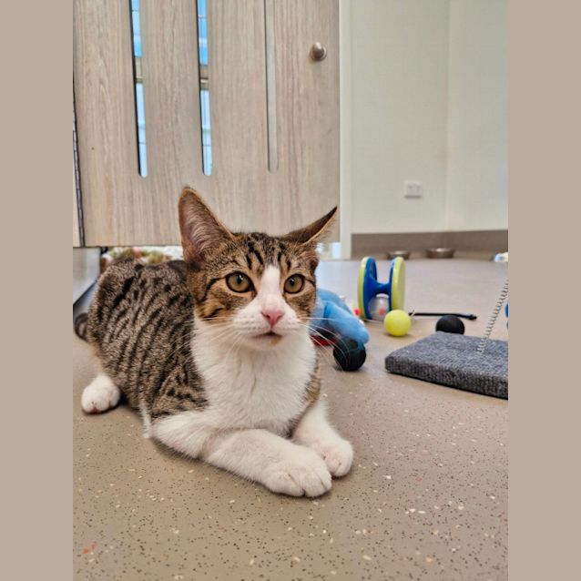 Photo of C1288 Parky