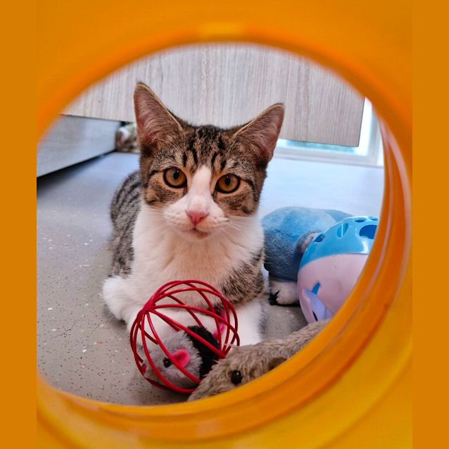 Photo of C1288 Parky