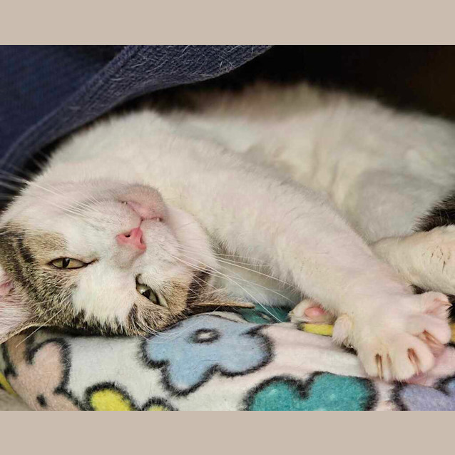 Photo of Gemma