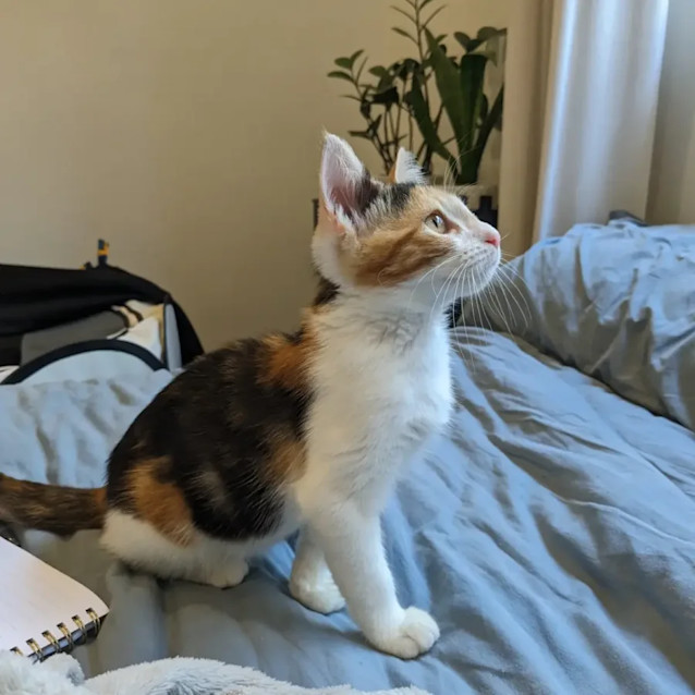 Photo of Sally