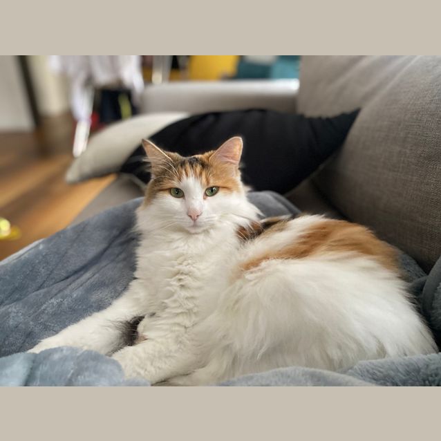 Photo of Kiki